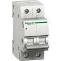 Schneider Electric Domae hoofdschakelaar 2p 40A