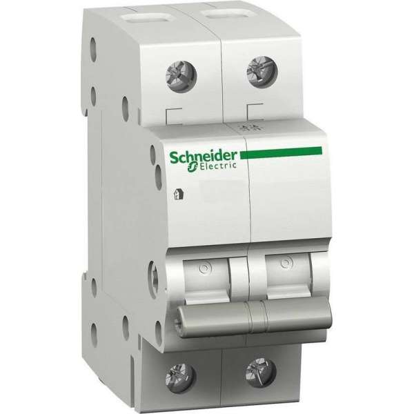 Schneider Electric Domae hoofdschakelaar 2p 40A