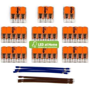LEDatHOME - WAGO connector kit compatibel met 2x kabel voor 11 gats plafondkap