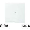 GIRA ENET OPZETSTUK S/D ZWG F100 5490112