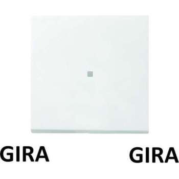 GIRA ENET OPZETSTUK S/D ZWG F100 5490112