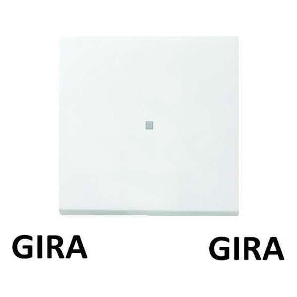 GIRA ENET OPZETSTUK S/D ZWG F100 5490112 GIRA ENET OPZETSTUK S/D ZWG F100 5490112