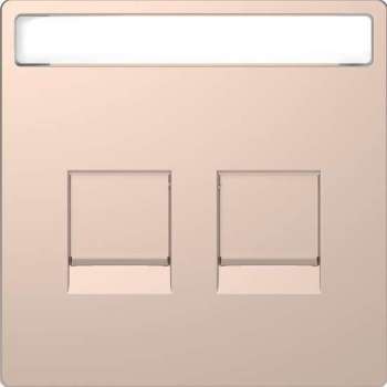 Inzetstuk RJ45 Tekstveld 2V - Metaal - Champagne Metallic - Systeem Design - Schneider Electric - MTN4564-6051
