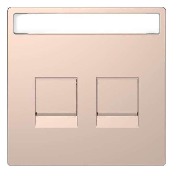 Inzetstuk RJ45 Tekstveld 2V - Metaal - Champagne Metallic - Systeem Design - Schneider Electric - MTN4564-6051 Inzetstuk RJ45 Tekstveld 2V - Metaal - Champagne Metallic - Systeem Design - Schneider Electric - MTN4564-6051