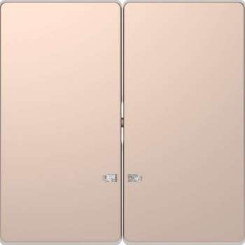 Dubbele Wip Controlevenster - Metaal - Champagne Metallic - Systeem Design - Schneider Electric - MTN3420-6051