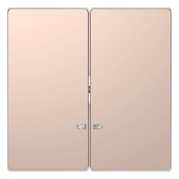 Dubbele Wip Controlevenster - Metaal - Champagne Metallic - Systeem Design - Schneider Electric - MTN3420-6051 Dubbele Wip Controlevenster - Metaal - Champagne Metallic - Systeem Design - Schneider Electric - MTN3420-6051