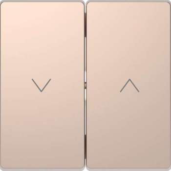 Dubbele Wip Jaloezieschakelaar - Metaal - Champagne Metallic - Systeem Design - Schneider Electric - MTN3855-6051