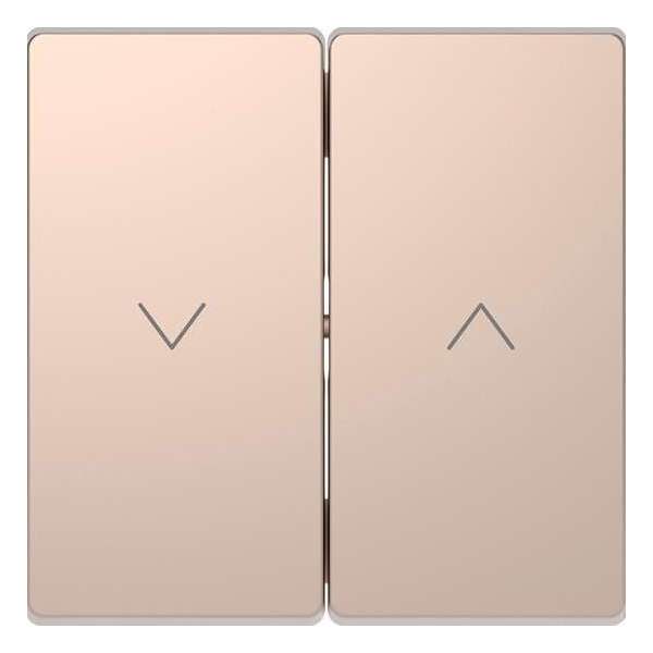Dubbele Wip Jaloezieschakelaar - Metaal - Champagne Metallic - Systeem Design - Schneider Electric - MTN3855-6051 Dubbele Wip Jaloezieschakelaar - Metaal - Champagne Metallic - Systeem Design - Schneider Electric - MTN3855-6051