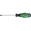 Schroevendraaier torx 25