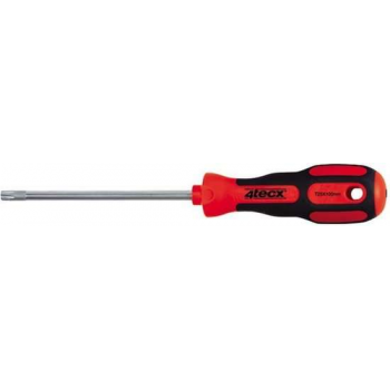 4Tecx Schroevendraaier Torx T30 L115mm