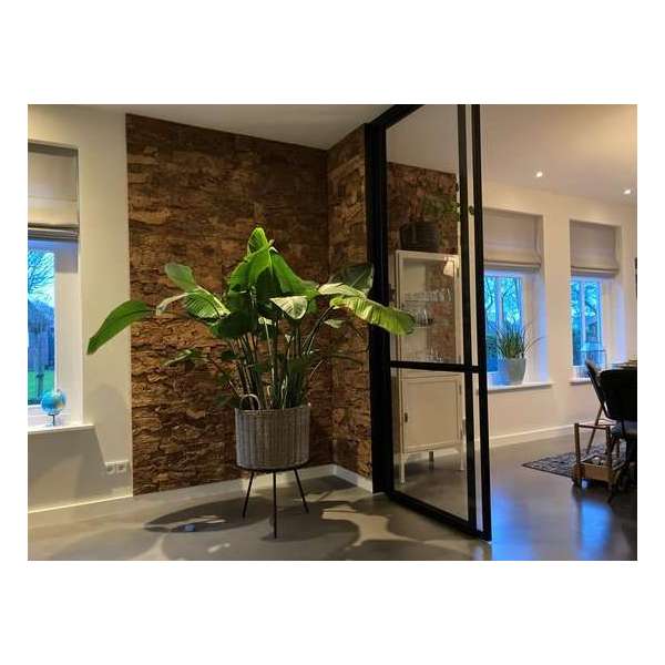 Wandkurk - kurk - plaat - wandpaneel - wand - kurk schors - terrarium plaat Wandkurk - kurk - plaat - wandpaneel - wand - kurk schors - terrarium plaat