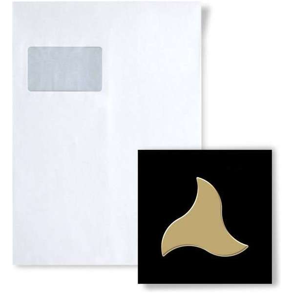 Mozaïek STAAL S-Ninja-Ti-GM Collectie Ninja titaan Gold hoogglanzend Mozaïek STAAL S-Ninja-Ti-GM Collectie Ninja titaan Gold hoogglanzend