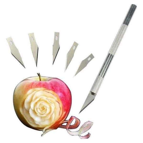 Winkrs - Precisie Hobby Penmes met 5 extra Mesjes - Scalpel Mes voor houtsnijwerk, fruit decoratie, leerbewerking etc. Winkrs - Precisie Hobby Penmes met 5 extra Mesjes - Scalpel Mes voor houtsnijwerk, fruit decoratie, leerbewerking etc.
